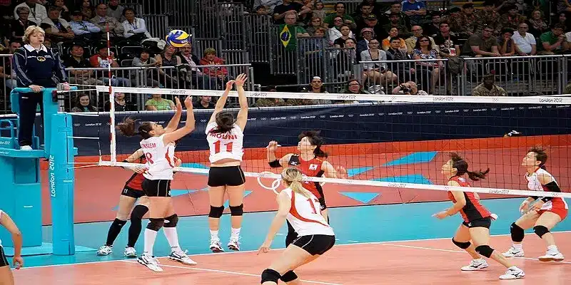 Summary of Volleyball Betting Odds