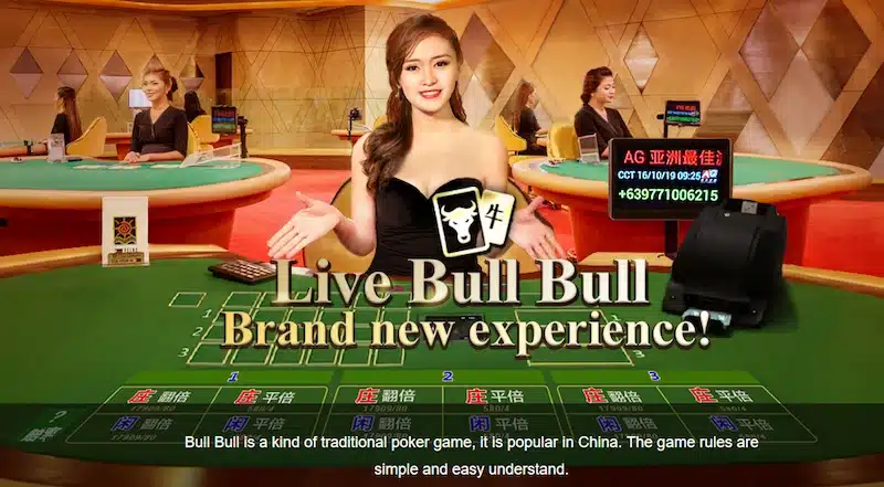 Bull Bull  2